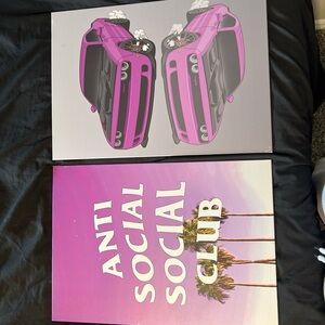 Anti Social Social Club Pink and Purple Canvas Set